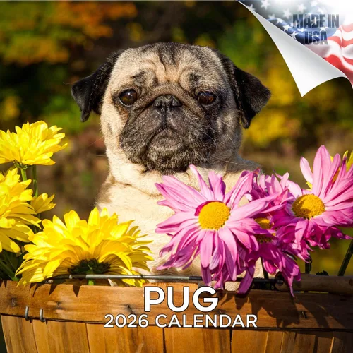 Miniatura 13 de Calendario 2025 2026 de cachorros Cocker Spaniel - Calendario mensual de pared de raza de perro - 12" x 24" abierto - Papel grueso sin sangrado