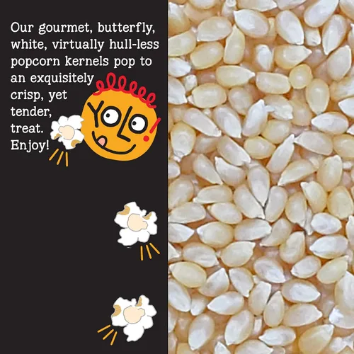 Miniatura 3 de YOLO! Snacks - Granos de palomitas de maíz gourmet blancos prácticamente sin cáscara, granos pequeños, sin OMG, 14 onzas (paquete de 3)