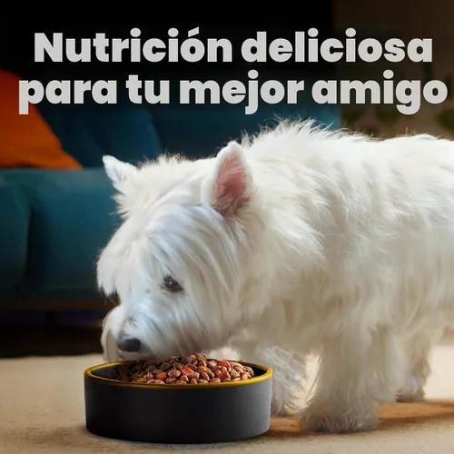Miniatura 10 de Comida para perros de raza pequeña seca Cesar