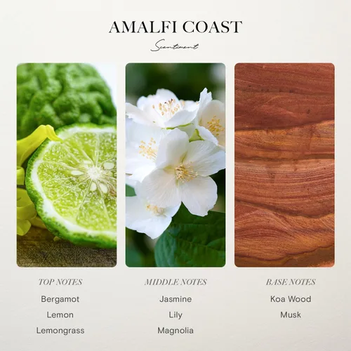 Miniatura 2 de Aceite Difusor Scentiment - Costa Amalfi Fragancia de Aromaterapia Inspirado en Hoteles de Lujo Cinco Estrellas Notas de Bergamota, Hierba