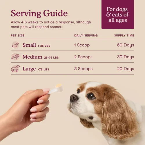 Miniatura 4 de Fera Pets Soporte de vejiga – Arándano para perros y gatos – D-manosa y raíz de malvavisco – Soporte del tracto urinario – Apoya el pH normal