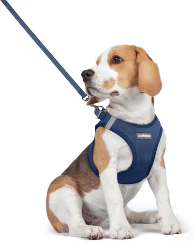 Miniatura 90 de rabbitgoo Juego de arnés para perro de tamaño pequeño y correa, chaleco ligero suave para cachorro, arnés de malla transpirable para mascotas