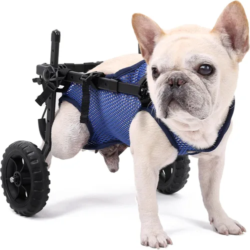 Silla de ruedas mejorada para patas traseras, silla de ruedas ajustable para perros pequeños para discapacitados, lesionados, paralizados, perros