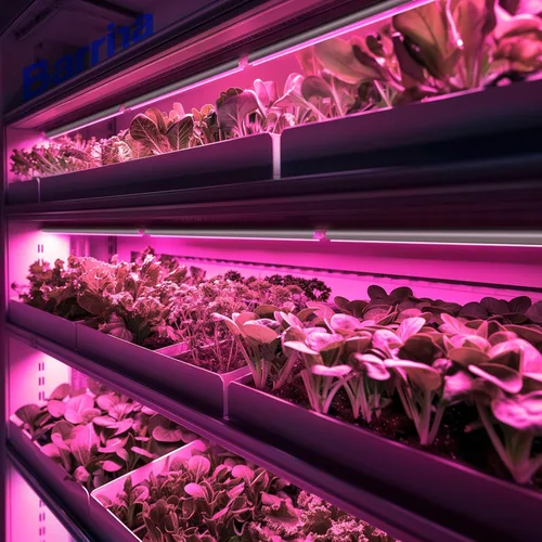 Miniatura 9 de Barrina Luz LED de crecimiento, 144 W (6 x 24 W, equivalente a 800 W), 2 pies T8, espectro completo, alto rendimiento, diseño enlazable, bombilla