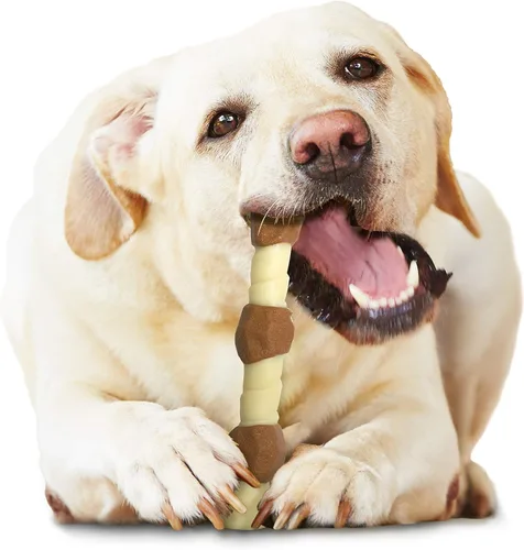 Miniatura 11 de Nylabone Power Chew Shish Kabob - Juguete masticable alternativo de nailon para perros, juguetes para masticadores agresivos, pollo, grande/gigante