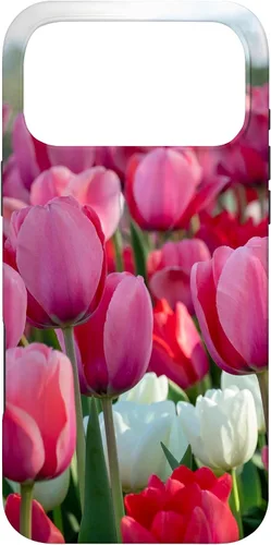 Miniatura 21 de Funda para iPhone 11 Pro Max Tulip Flower