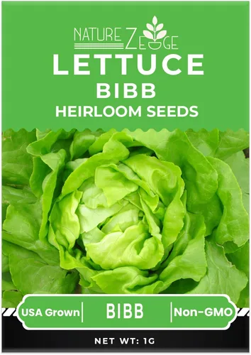 Miniatura 5 de Semillas de lechuga para plantar, lechuga romana roja, lechuga mantecosa Bibb, Simpson de semilla negra, lechuga iceberg Green Ice, sin OGM..
