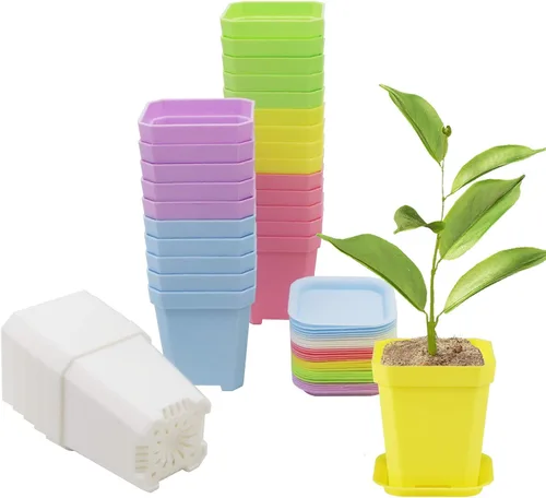 30 macetas de 3 pulgadas para vivero, macetas cuadradas de plástico grueso para plantas de flores, macetas de plántulas, macetas de inicio de Varios