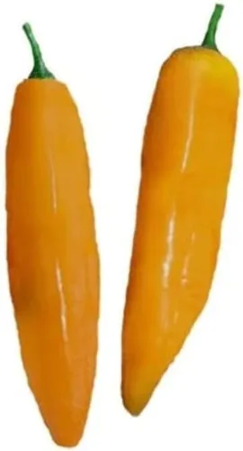 Miniatura 3 de Semillas de pimienta Aji Amarillo Heirloom - 10 semillas - Sin OMG - Variedad popular peruana