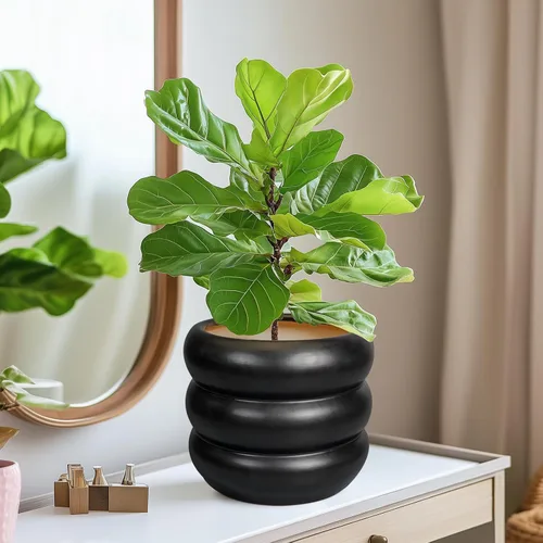 Miniatura 6 de Maceta de cerámica SQOWL para plantas de 8 pulgadas - Maceta de interior con orificio de drenaje para plantas de exterior, maceta floral moderna