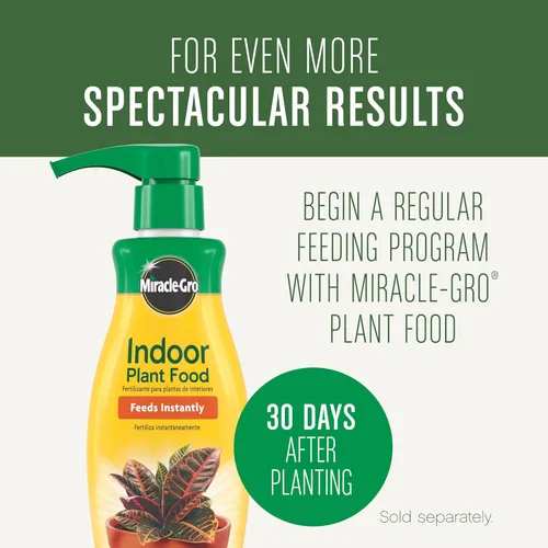 Miniatura 2 de Miracle-Gro Mezcla para Macetas de Plantas de Interior: Suelo Fertilizado con Perlita para Jardinería de Interiores, Diseñado para ser Menos
