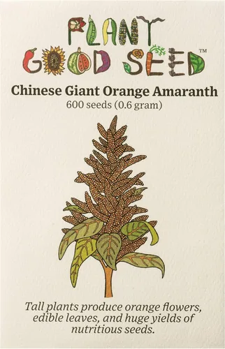 Plant Good Seed Semillas de amaranto naranja gigante chino orgánico para plantar: reliquia guatamalteca de alto rendimiento, hojas verdes - Paquete
