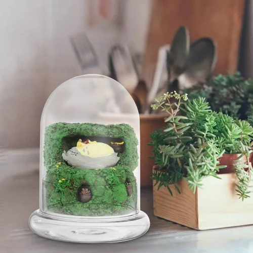 Miniatura 8 de 2 cúpula de cristal Cloche con orificio de aire y base, terrario de vidrio transparente, cúpula de humedad para plantas pequeñas, decoración de mesa