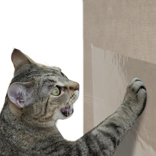 Miniatura 7 de Kitty City Clip rascador para gatos sobre la puerta – Soporte vertical para rascador para gatos – Protege muebles y puertas – Se adapta a la mayoría