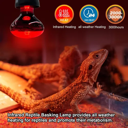 Miniatura 3 de MIXJOY Bombillas de calor infrarrojo de 100W, paquete de 2, focos de calor infrarrojo para reptiles, foco rojo de calor infrarrojo para reptiles
