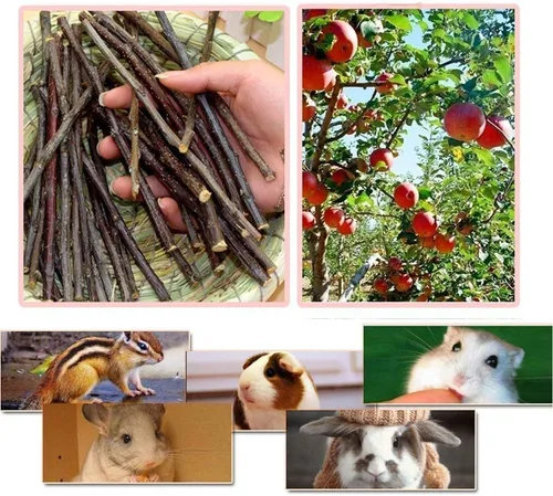 Miniatura 3 de William Craft Palitos de manzana de 8.82 oz, animales pequeños, juguetes de madera molar para conejos, chinchillas, conejillo de indias, hámster
