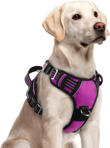 Miniatura 17 de rabbitgoo Arnés para perro de tamaño pequeño, chaleco para perro sin tirones con 3 hebillas, arnés ajustable y acolchado suave para mascotas con asa