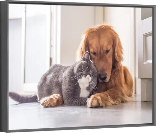 Miniatura 10 de GENTLE DEER Impresiones en Lienzo Personalizadas con Tus Fotos - Impresiones en Lienzo Personalizadas Imágenes Personalizadas Regalos con Marco