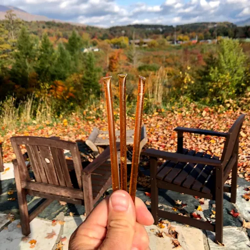 Miniatura 3 de Palitos de miel de flores silvestres para té, viajes y aperitivos. Los paquetes de miel pura de alta calidad son frescos de la granja