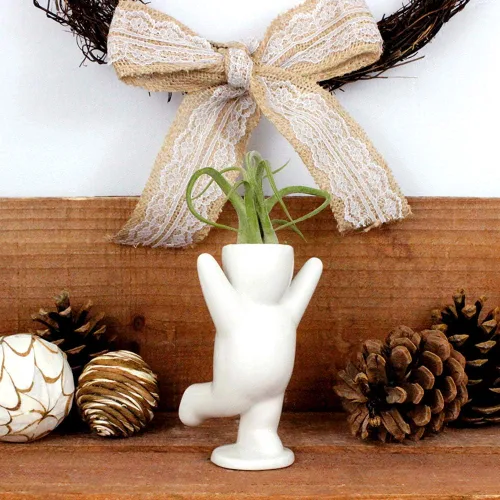 Miniatura 4 de NW Wholesaler Maceta de cerámica blanca con forma de persona feliz de 3.25 pulgadas con planta de aire Tillandsia viva, plantas de aire