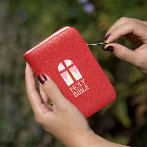 Miniatura 2 de Well Read - Cartera con cremallera para los amantes de los libros, regalo literario ideal para clubes de libros, lectores y gusanos de biblioteca