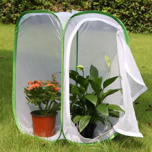 Miniatura 3 de RESTCLOUD - Jaula de hábitat para insectos y mariposas, 23.6 pulgadas de alto Blanco con verde