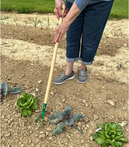 Miniatura 4 de Eurogarden Cultivador de 3 dientes para niños, herramienta de jardín ligera con mango de madera largo para niños o adultos que prefieren