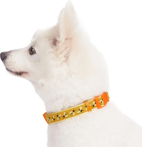 Miniatura 3 de Blueberry Pet 10+ Patrones Zoo Fun Collar de perro