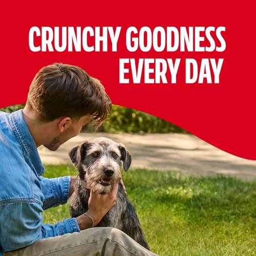 Miniatura 5 de Milk-Bone Gravy Bones - Golosinas para perros con 4 sabrosos sabores de carne recubiertos en salsa, 7 libras
