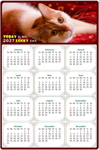 Calendario magnético 2024 – Imanes del calendario – Today is my Lucky Day – Resistente a la decoloración, desgarros y agua – Temática de gato 07