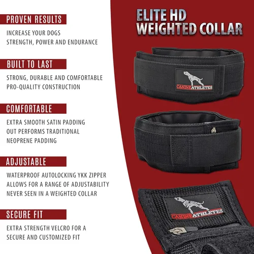 Miniatura 5 de CANINE ATHLETES Collar para perro de trabajo con peso Elite-HD de 3 pulgadas (3 libras, negro)