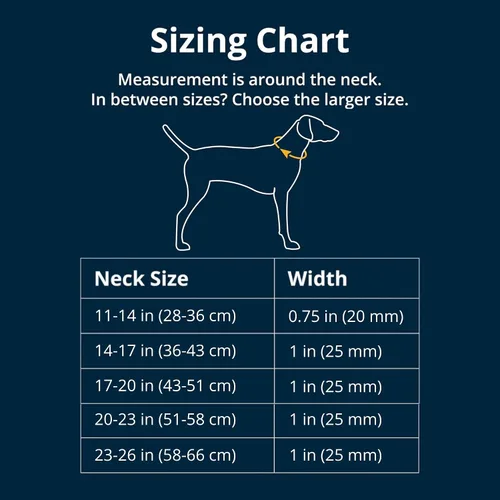 Miniatura 2 de Ruffwear, Web Reaction - Collar para perro, hebilla de seguridad a prueba de escapes, collar martingala antideslizante ajustable con correas Tubelok