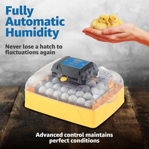 Miniatura 5 de Brinsea Ovation 28 EX Incubadora para incubar huevos con control automático de humedad - Incubadora de huevos de pollo totalmente automática