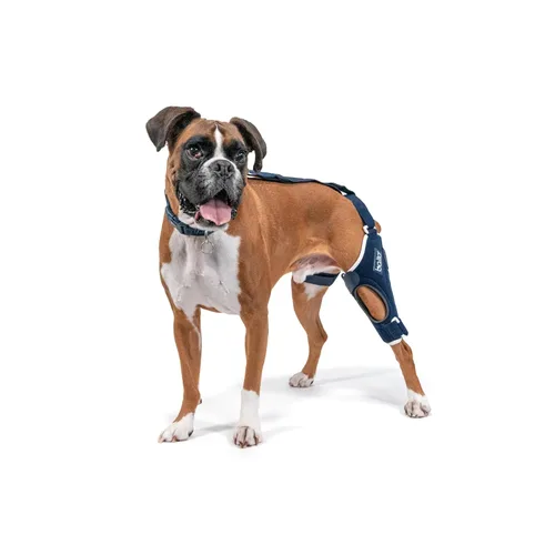 Balto Rodillera ortopédica ACL/CCL para perros, estabilizador de piernas ajustable para dolor en las articulaciones, recuperación de lesiones y