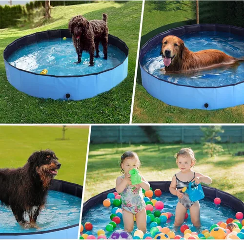 Miniatura 2 de Piscina para perros – Piscina plegable de plástico duro para niños, 63 x 12 pulgadas, piscina portátil de PVC para perros, piscina para interiores