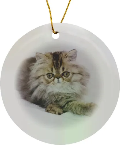 Adorno de porcelana circular - Gato persa, atigrado marrón, Hill Country, Texas - NA02 RNU0725 - Rolf Nussbaumer Cats