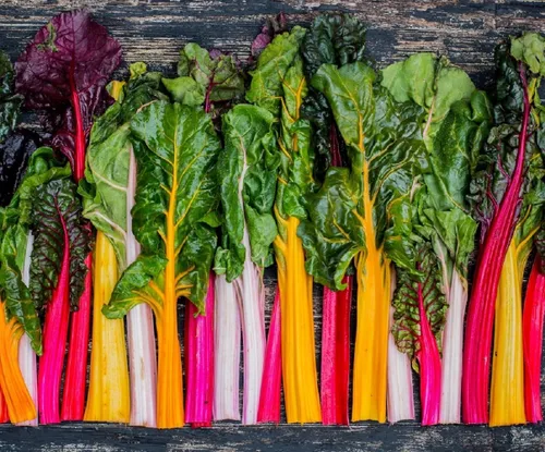 Semillas de acelgas suizas arcoíris para plantar paquetes tradicionales sin OMG, 50 semillas, planta y cultivo de acelgas suizas, jardín al aire
