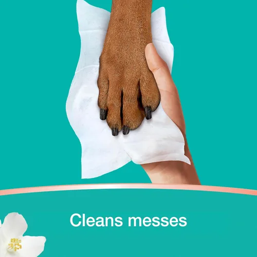 Miniatura 5 de Pampers - Toallitas Clean & Calm, aroma a flores de algodón, 336 toallitas en total (6 paquetes con tapa emergente)