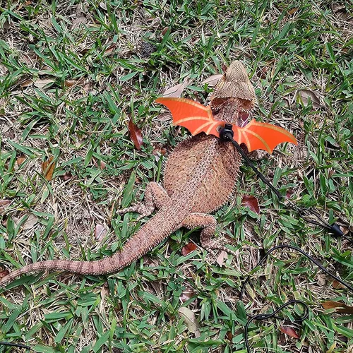 Miniatura 2 de ADOGGYGO Arnés de correa de dragón barbudo, paquete de 3 tamaños de arnés de ala de lagarto naranja con correa extraíble para reptiles de lagarto