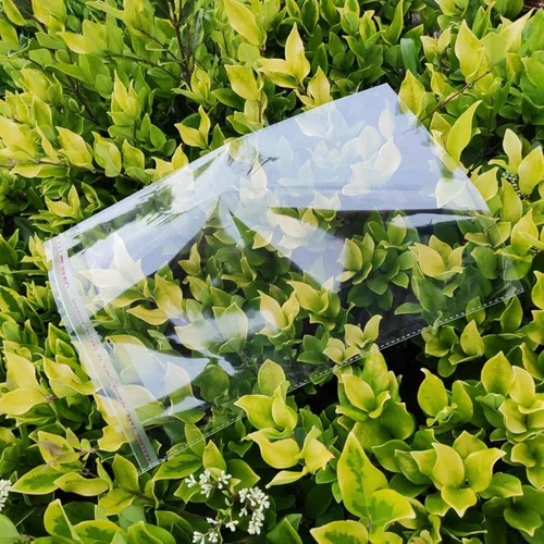 Miniatura 8 de Bolsas de celofán autoadhesivas transparentes de 6 x 9 pulgadas, 200 bolsas de polietileno de vidrio OPP de 2 mil para galletas, pan, brownie