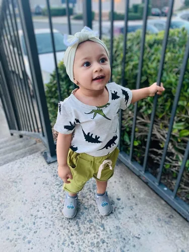 Miniatura 2 de Conjunto de camiseta y pantalones cortos de dinosaurio para niños pequeños de 6 meses a 5 años