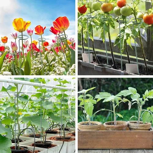 Miniatura 5 de Thealyn Paquete de 20 aros de soporte para plantas de 36 pulgadas, para jardín, de un solo tallo, para flores, orquídeas, tomates, peonía, lirio, 36