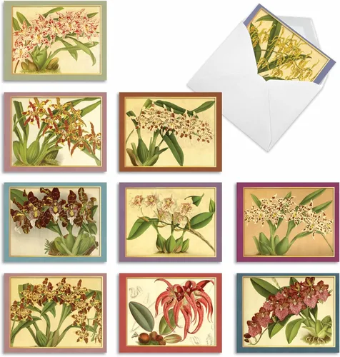 Miniatura 12 de The Best Card Company - 10 tarjetas de notas en caja con flores - Tarjetas de notas florales surtidas en blanco a granel (4 x 5.12 pulgadas)