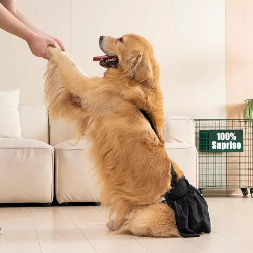 Miniatura 6 de Avont - Paquete de 3 pañales lavables para perras con tirantes, pañales reutilizables para perritas pequeñas, medianas y grandes, en ciclo de calor
