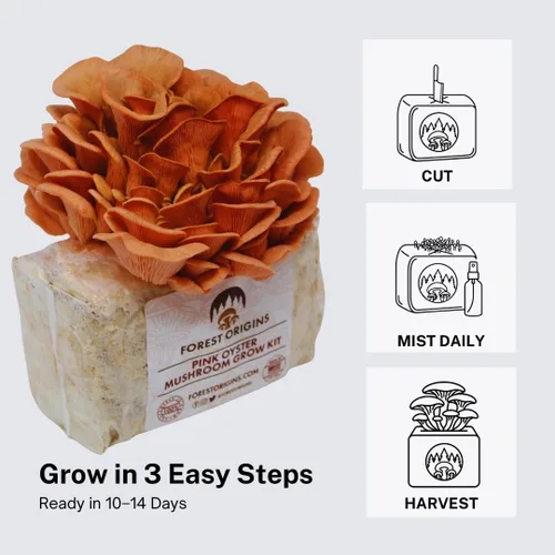 Miniatura 4 de Kit de cultivo de hongos ostra rosa de Forest Origins, fácil para principiantes y de uso sencillo, crece en 10 días Hecho a mano en California