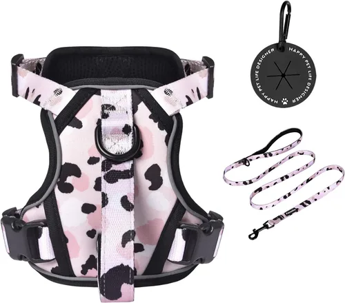 Miniatura 14 de Petmolico Arnés para perros pequeños, bonito arnés con dos clips para correa y mango suave, chaleco reflectante para cachorros fácil de caminar