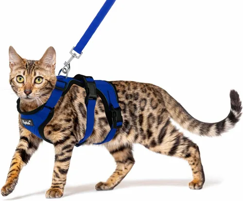 Miniatura 11 de PUPTECK Juego de arnés y correa para gato a prueba de escape para caminar, chaleco de malla transpirable arnés ajustable para gatos cachorros Negro