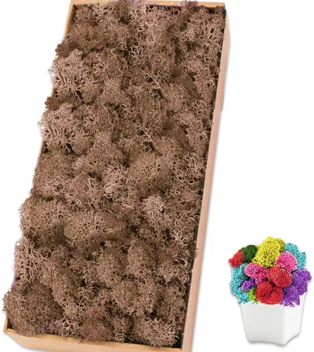 Miniatura 13 de Musgo de reno amarillo preservado de 3.5 onzas para plantas en maceta, decoración artesanal para arte de pared, musgo falso para decoración