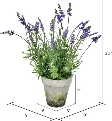 Miniatura 2 de Vickerman Everyday - Lavanda artificial de 20 pulgadas en maceta de cemento, flores de imitación para interiores en maceta, para decoración