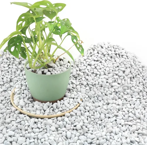 Miniatura 8 de Perlita gruesa de 3 cuartos de galón para enmienda del suelo de plantas para macetas, mejora el drenaje y la aireación del suelo, ideal